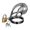 Captus Locking Stainless Steel Chastity Cage
