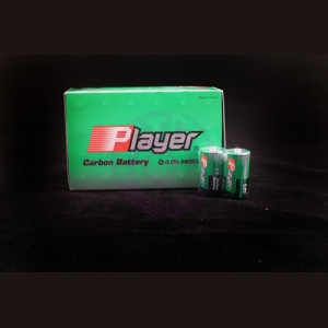 Player Extra Heavy Duty C Batteries - 24 Count Box