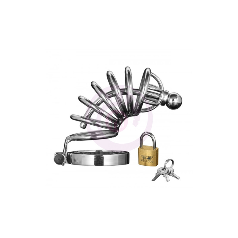 Asylum 4 Ring Locking Chastity Cage - Small/medium