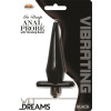 Wet Dreams Go Deep Anal Probe With  Vibrating Bullet - Black