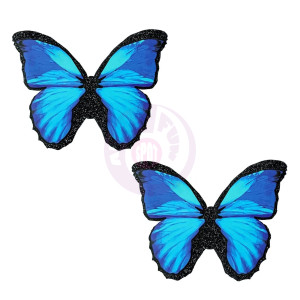 Beautiful Blue Black Glitter Butterfly Nipple  Cover Pasties