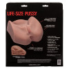 Stroke It Life-Size Pussy - Brown