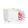 Afterglow Pink Lotus Massage Oil Candle - 4.5 Oz.