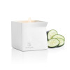 Afterglow Cucumber Water Massage Oil Candle - 4.5 Oz.