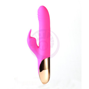 Dream 10/4 Function Rabbit Vibrator - Pink