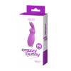 Crazzy Bunny Rechargeable Bullet - Perfectly  Purple