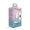 Cheeky Charms-Silver Metal Butt Plug Kit- Clear/teal